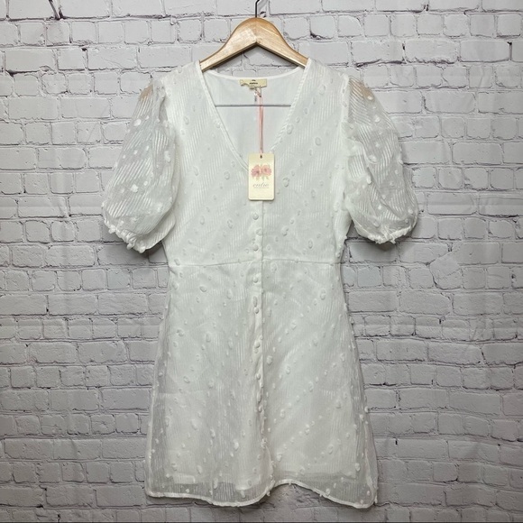 NWT Entro Sheer White Swiss Dot Dress size Large - Picture 1 of 12